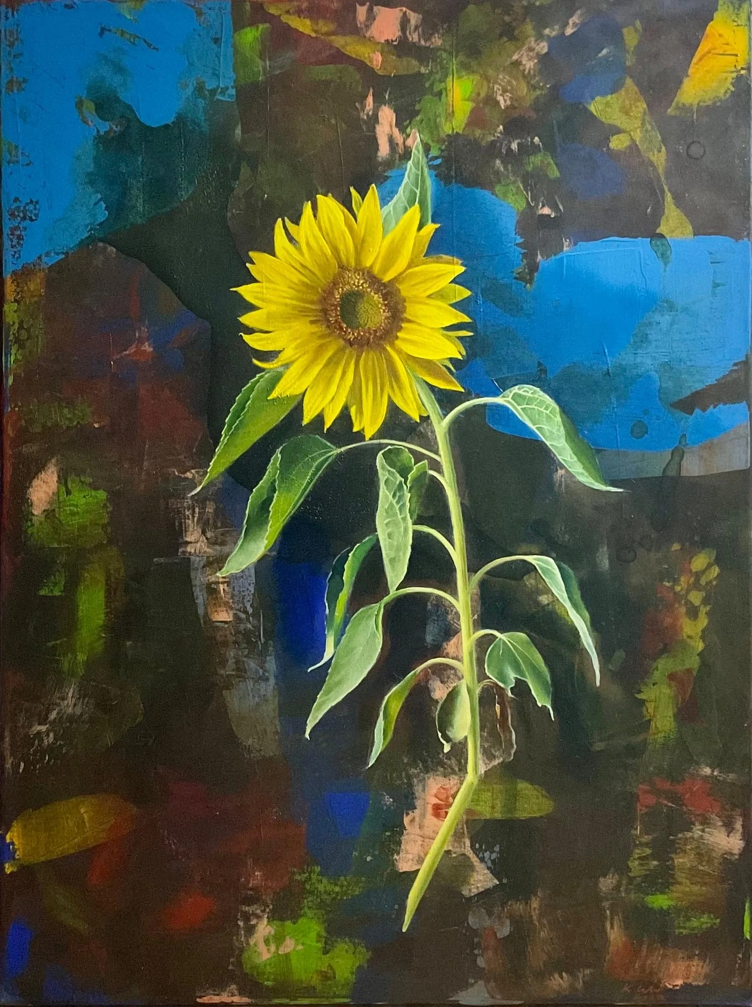 Canticle of the Sun