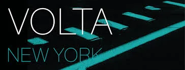 VOLTA10 New York 2014