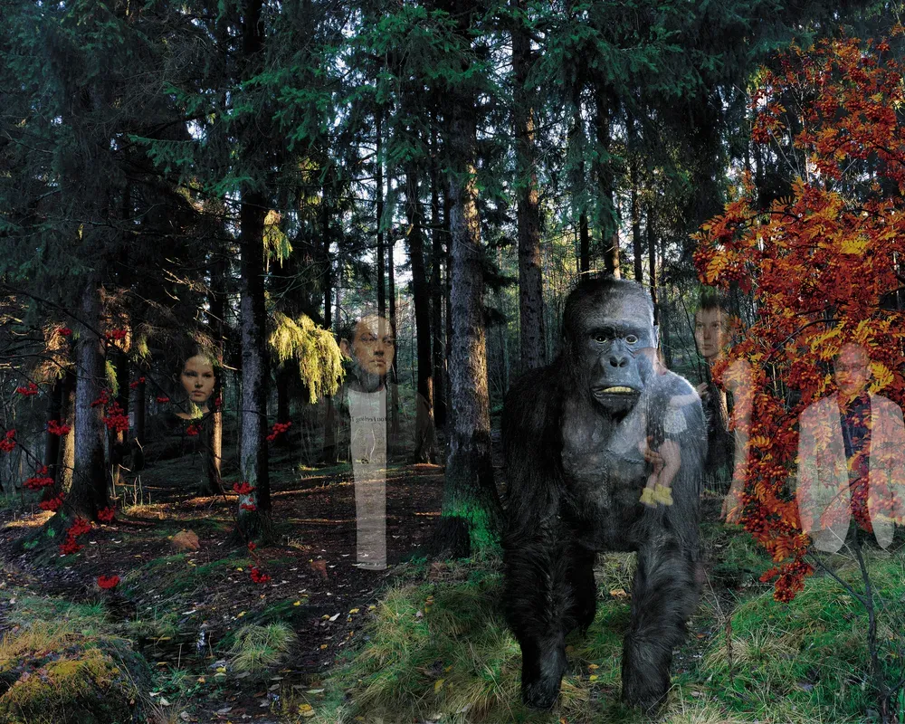 Windows-gorilla