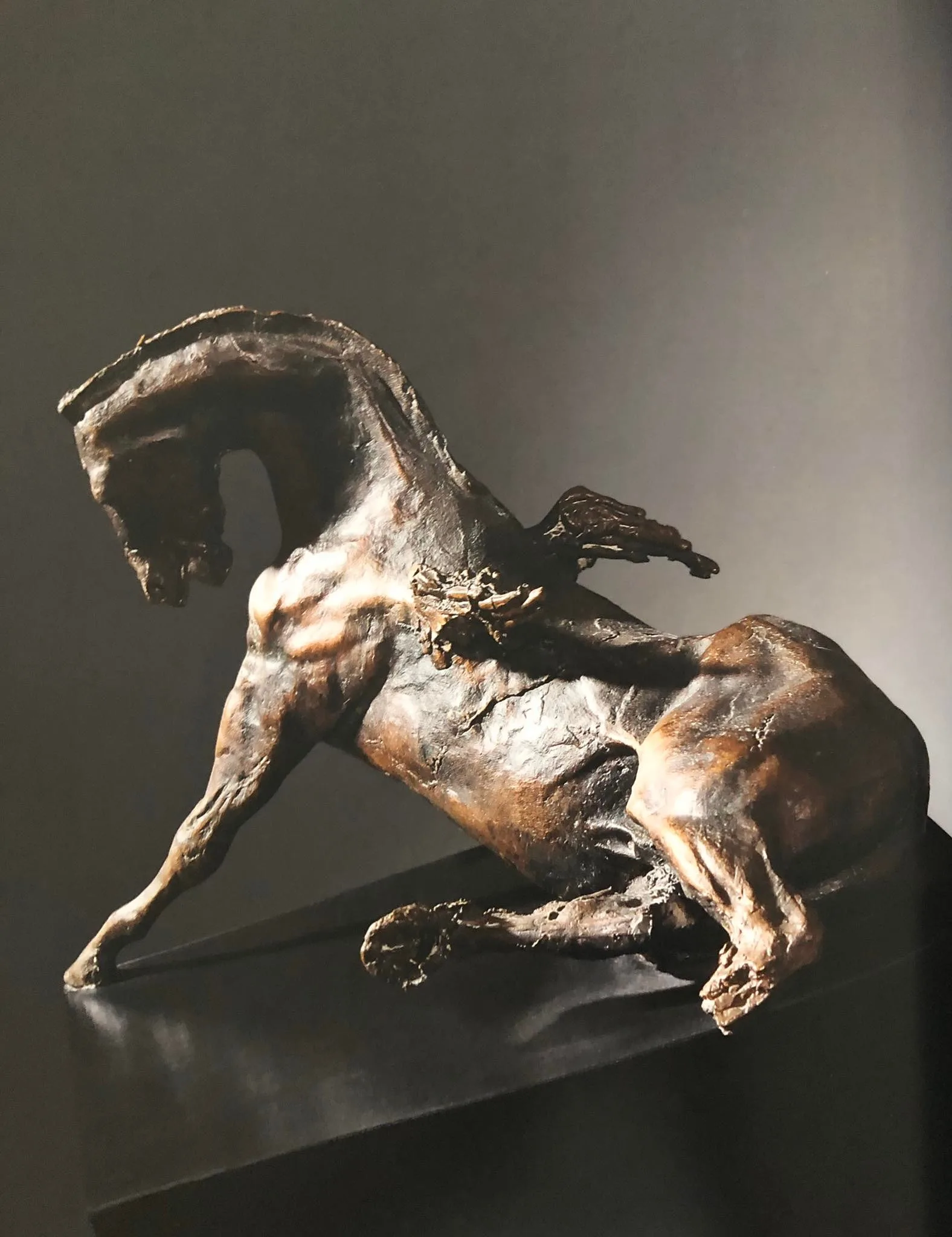 Pegasus
