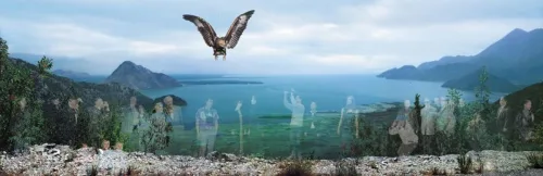 Windows-Eagle