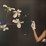 Diana Kingsley